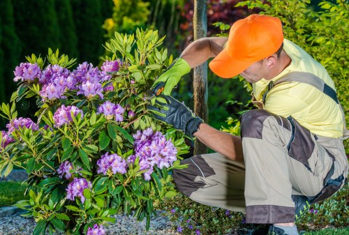 Gardener team planning work in a neighbourhood green space