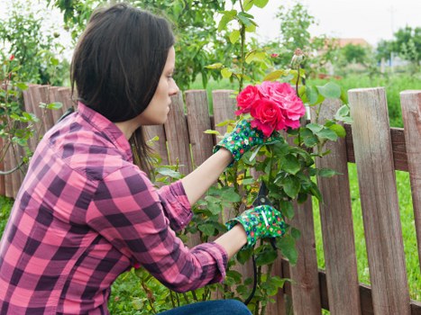 Image indicating cookie controls and user preferences for Shadwell gardening site
